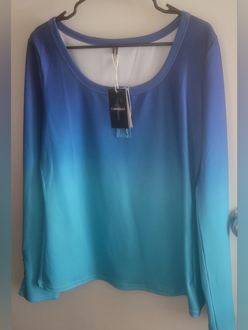 Flamingals Women's Ombre Scoop Neck Long Sleeve Top - Blue/Teal